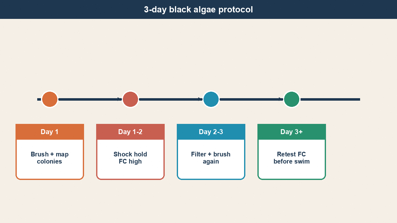 Three-day black algae treatment timeline graphic