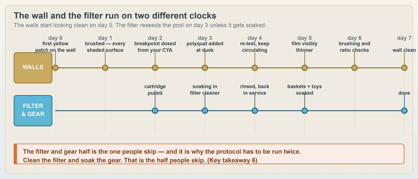 Two track timeline separating the seven day wall treatment from the five day filter and gear clean up