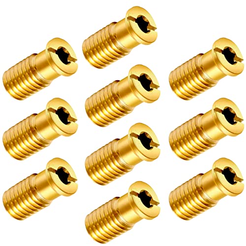 10PCS Brass Pool Cover Anchor Screws